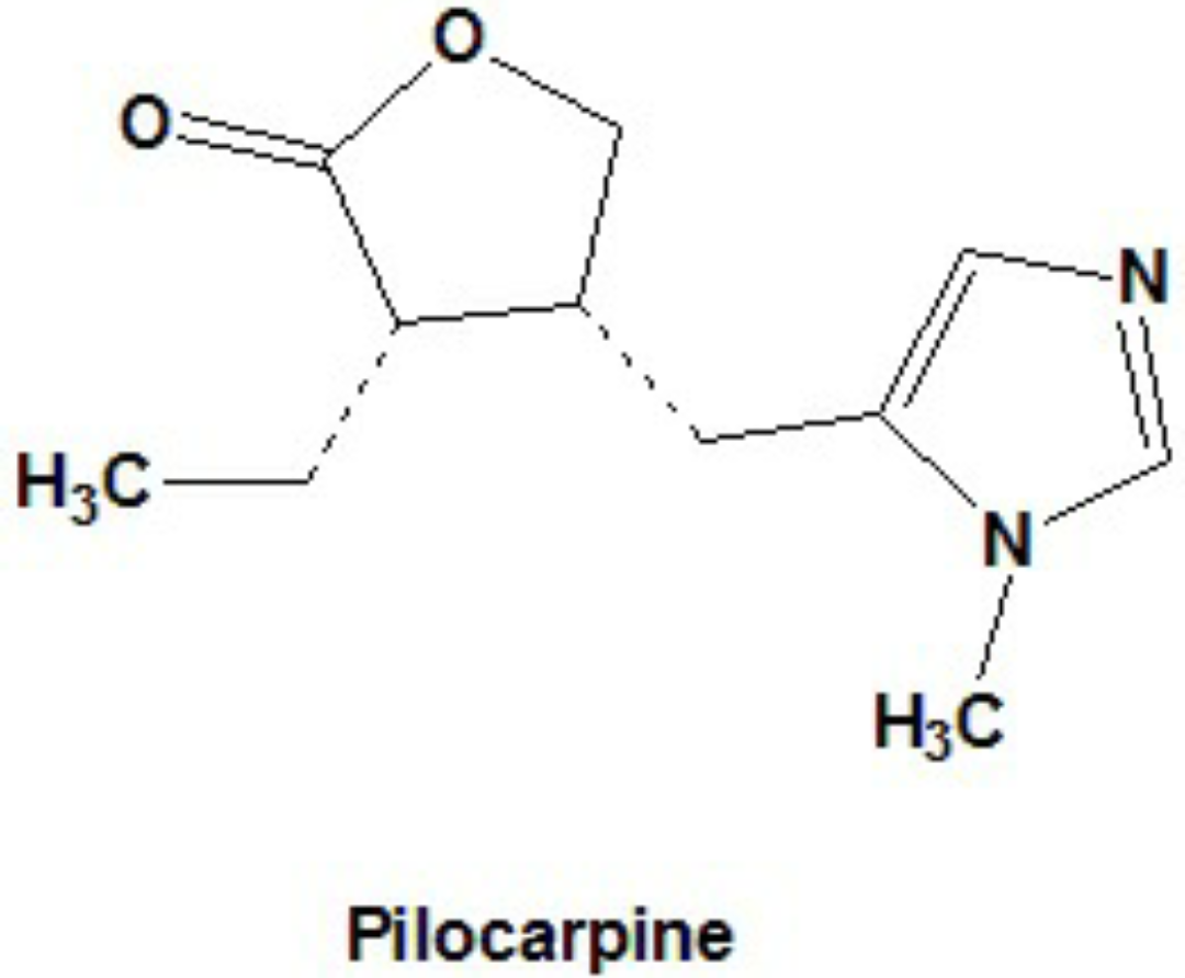 Pilocarpus Biological Sources, Chemical Constituents, Uses, Morphology and MCQ,