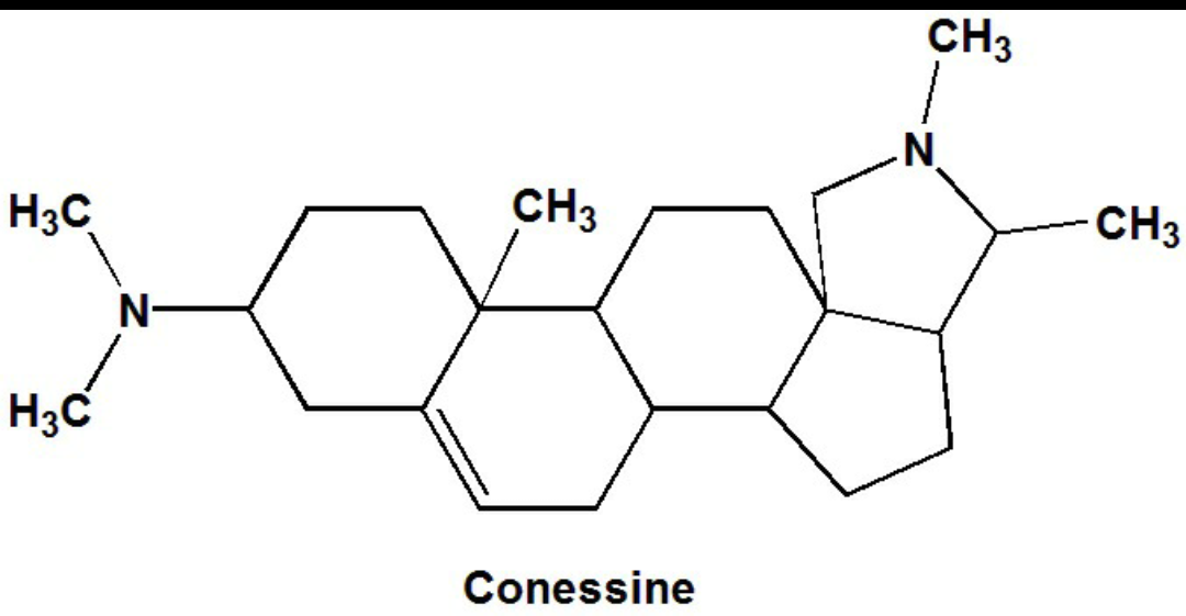 Kurchi: Biological Source, Chemical constituents, Uses, Adultrants, Morphology and MCQ