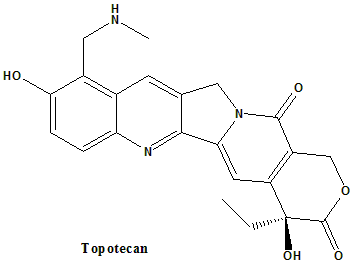 topotecan mechanism of action