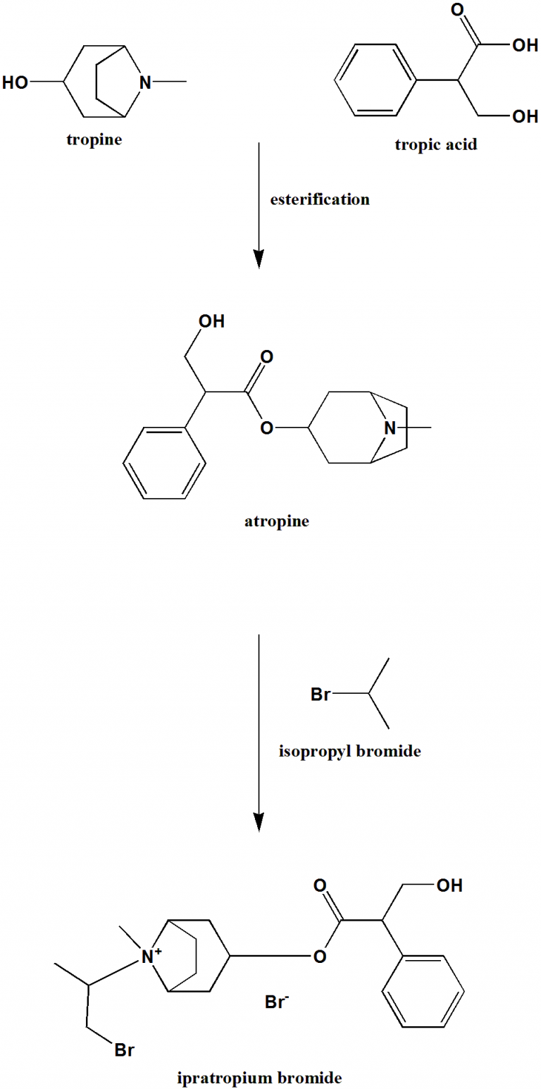 IPRATROPIUM BROMIDE Synthesis, SAR, MCQ,Structure,Chemical Properties ...