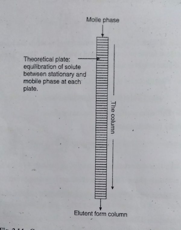 ChromatographyPlate and Rate Theory and MCQ based on GPAT, GATE, UGC
