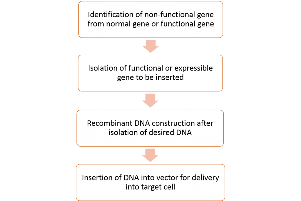 Gene delivery system