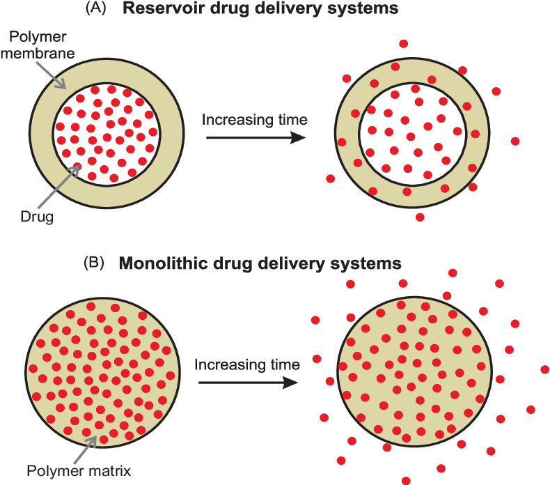 Concept Of Diffusion Drug Release From Polymer Matrices Part I And