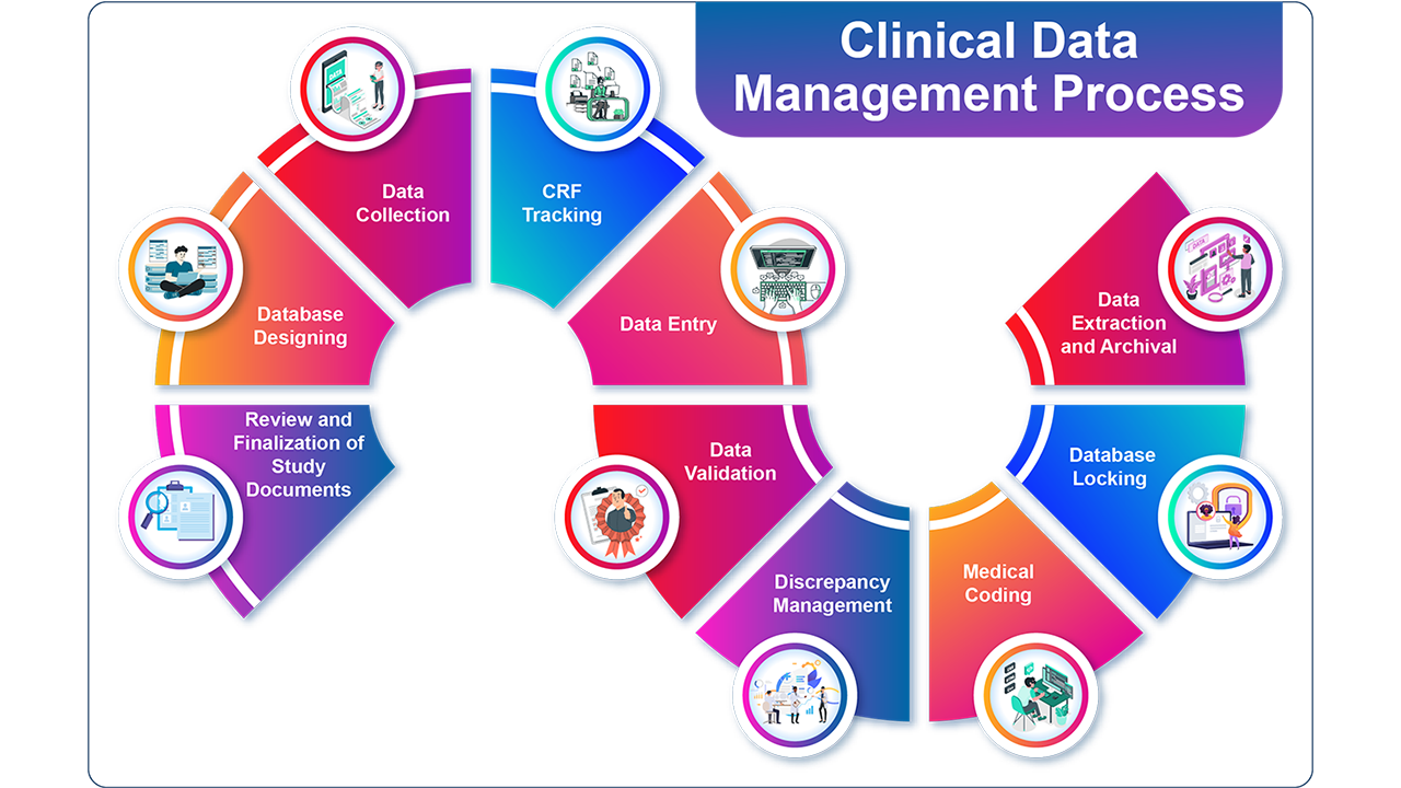 Career in Clinical Data Management for Pharmacy and Lifesciences Graduates with good growth in future