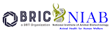 Vacancy for Research Associate-II at National Institute of Animal Biotechnology, Gachibowli, Hyderabad